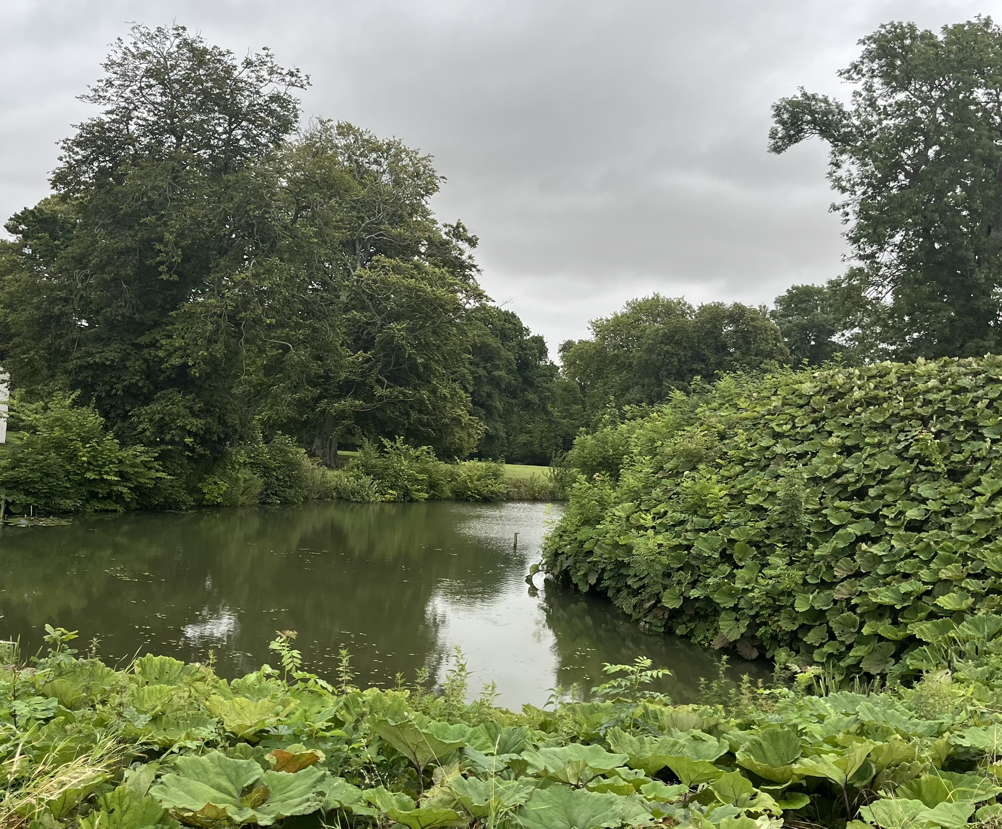 Landscape view